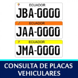 4consulta_placas